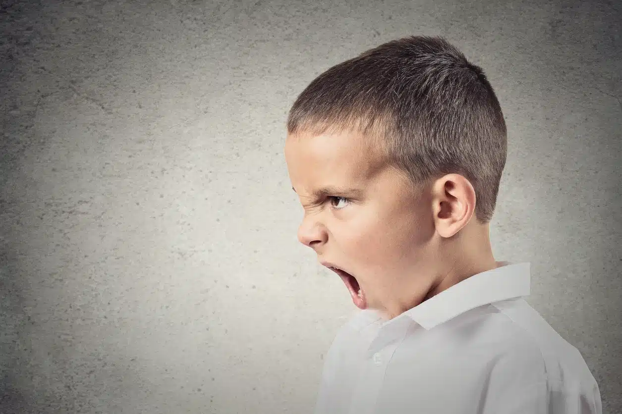 Enfant pervers narcissique
