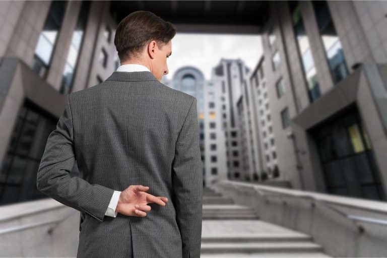 LES FAUSSES PROMESSES D&rsquo;AVENIR DU PERVERS NARCISSIQUE